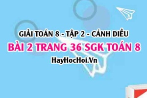 Bài 2 trang 36 Toán 8 Tập 2 Chân trời sáng tạo